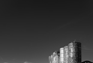 Sentinels