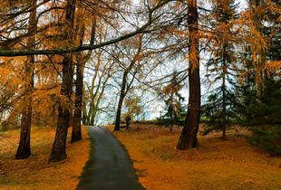 autumn morning in helsinki