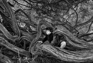 Tangled #2