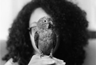 Look A Bird