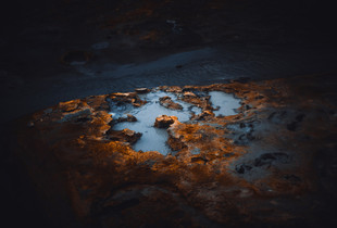 The beginning of life on Earth