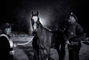 Veterinary check at the end of a nighttime leg.