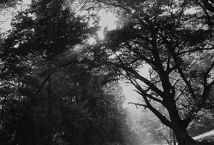 After the Rain