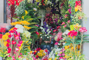 Plastic paradise