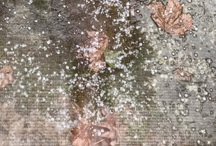 Hail Storm, 2023
