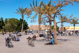 Siesta in Marrakesh