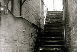 Savannah Alley Steps