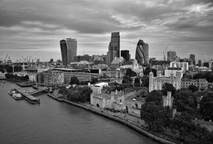 The city and the tower