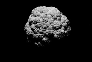 Celestial Objects 02 - Cauliflower