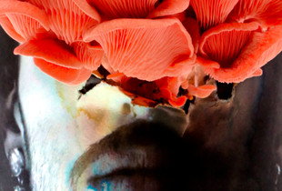 Inconsciente Coletivo (Collective Unconscious)