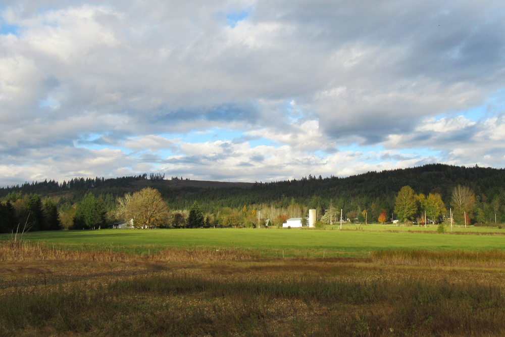 Wayne Brown Submission LensCulture