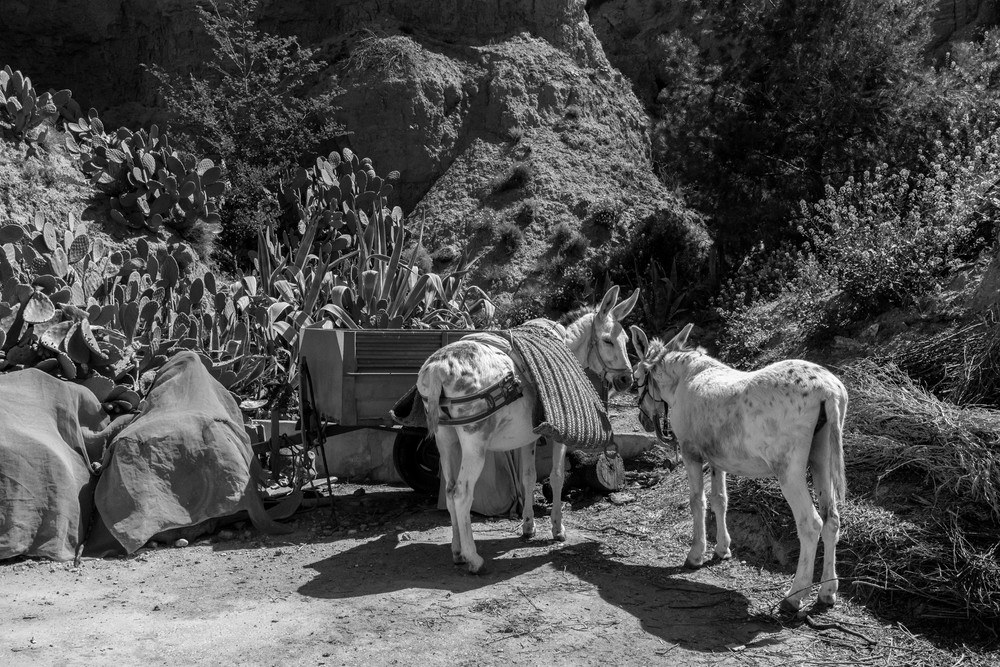DESIERTOS Y SOLEDADES