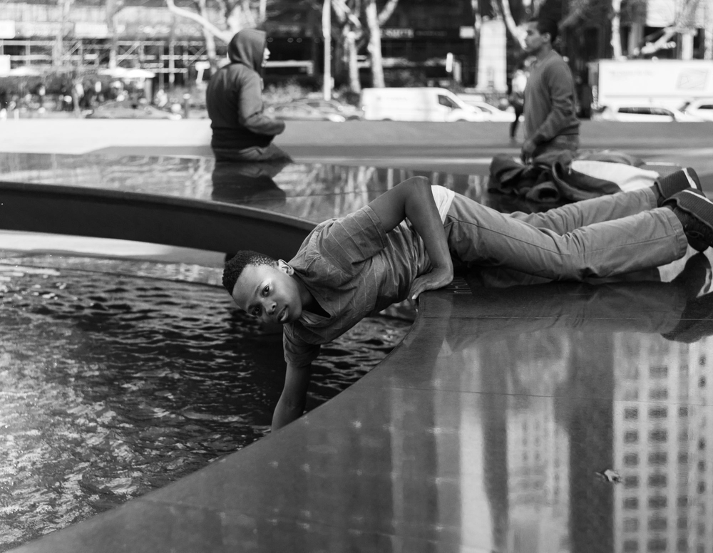The Lives of New York City