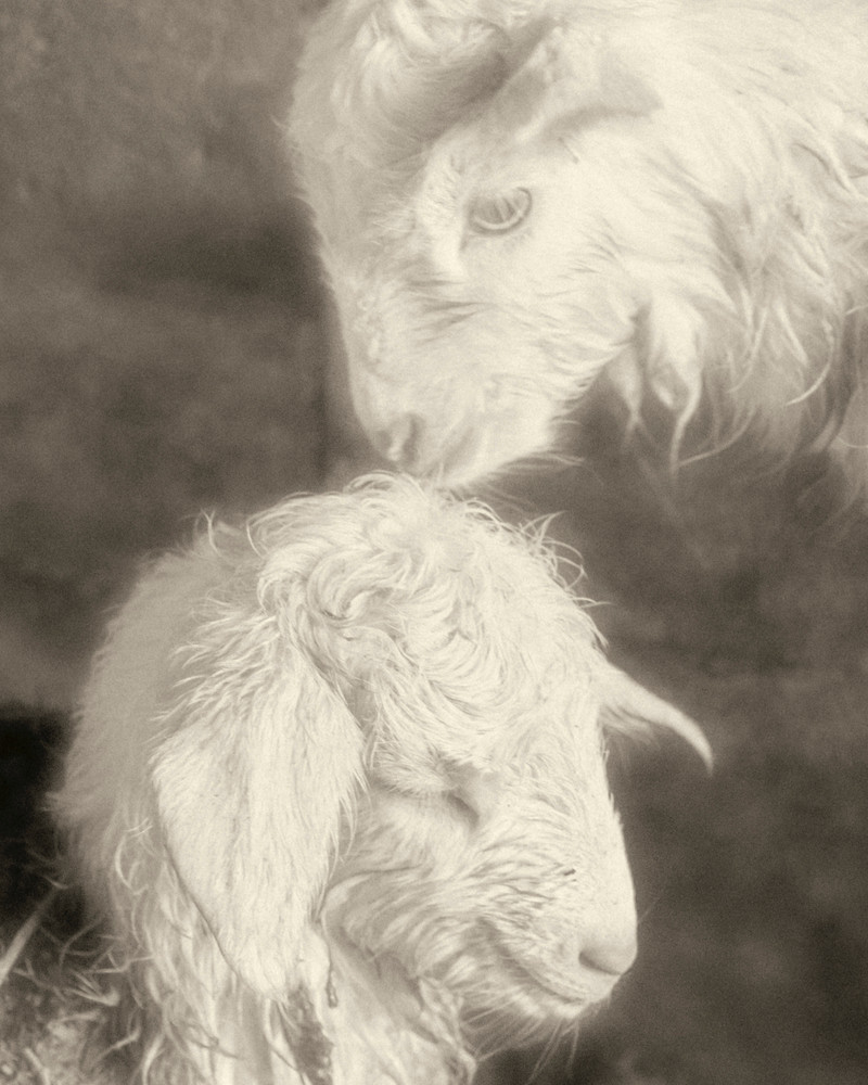 Humanity © Cinzia Laliscia