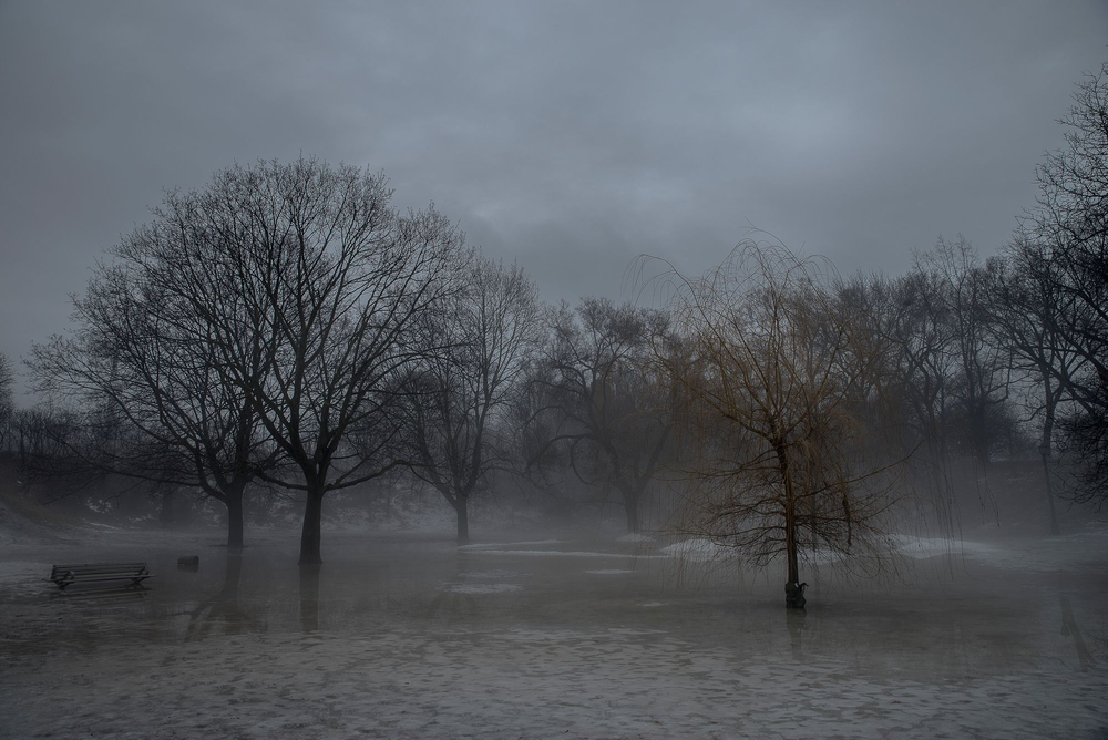 Landscape/Nature
