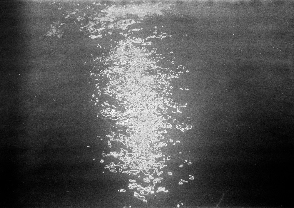 Phenomena - (Kaiahiku, Panmure Basin)