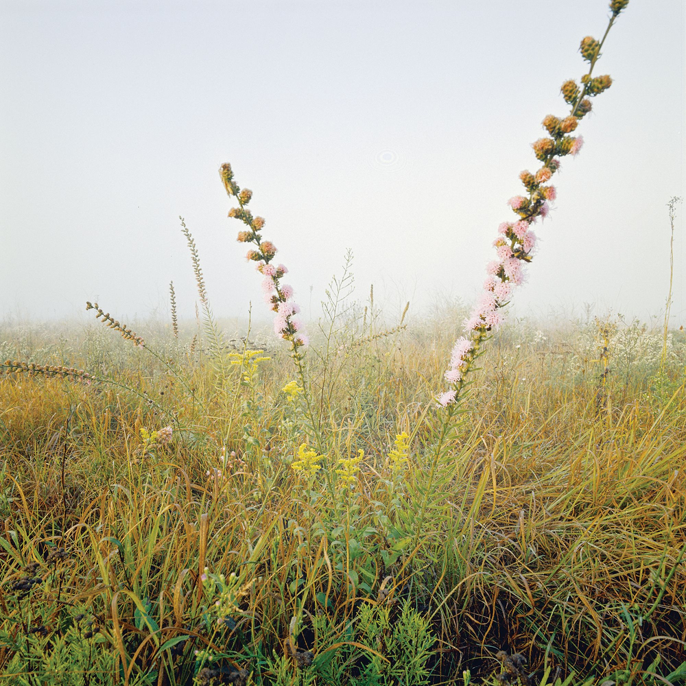 Prairies of Missouri