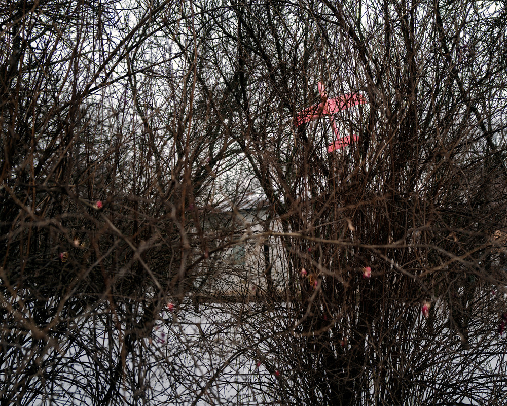 POLTAVALAND: Ukriane's Place of Power