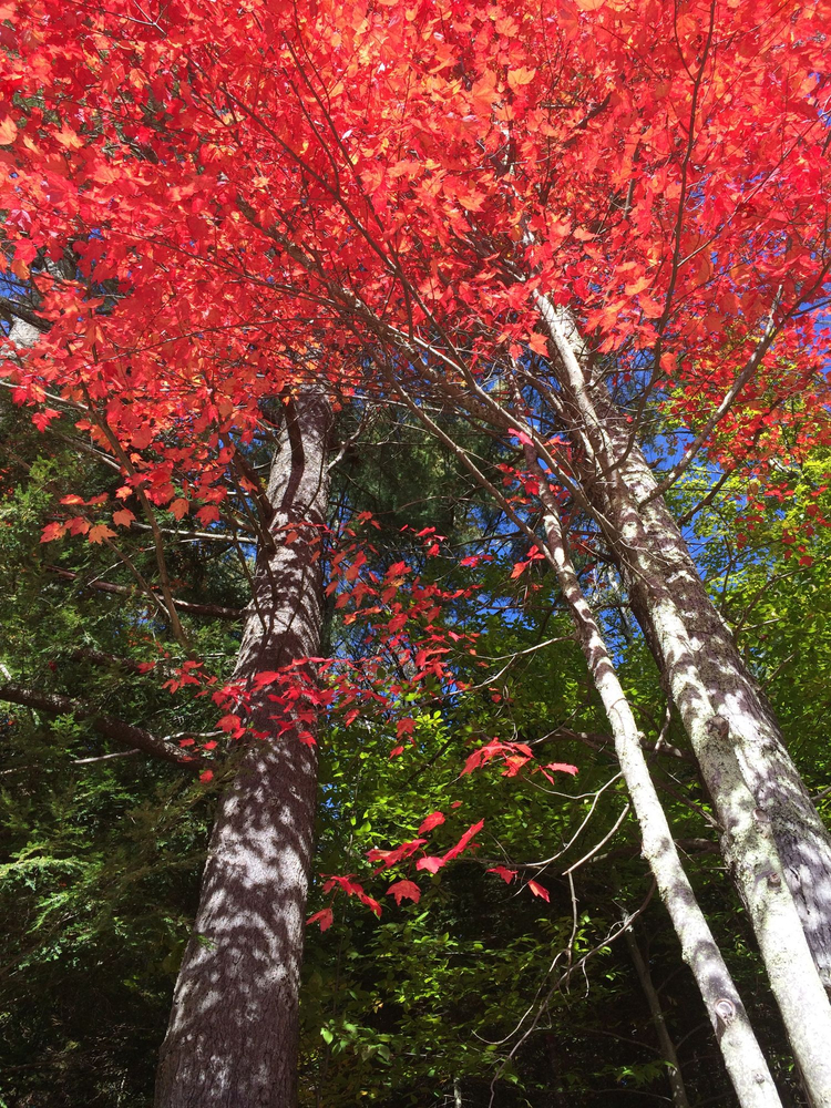 East Craftsbury Pictures