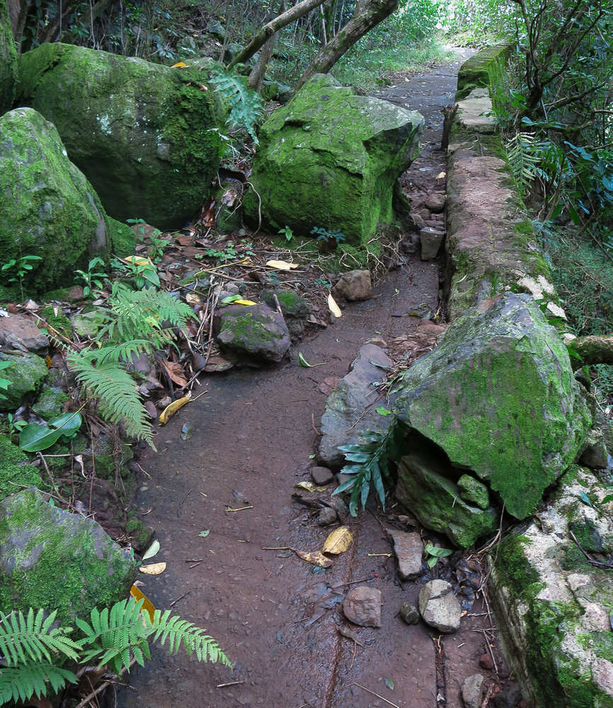 Old Pali Highway, Oahu