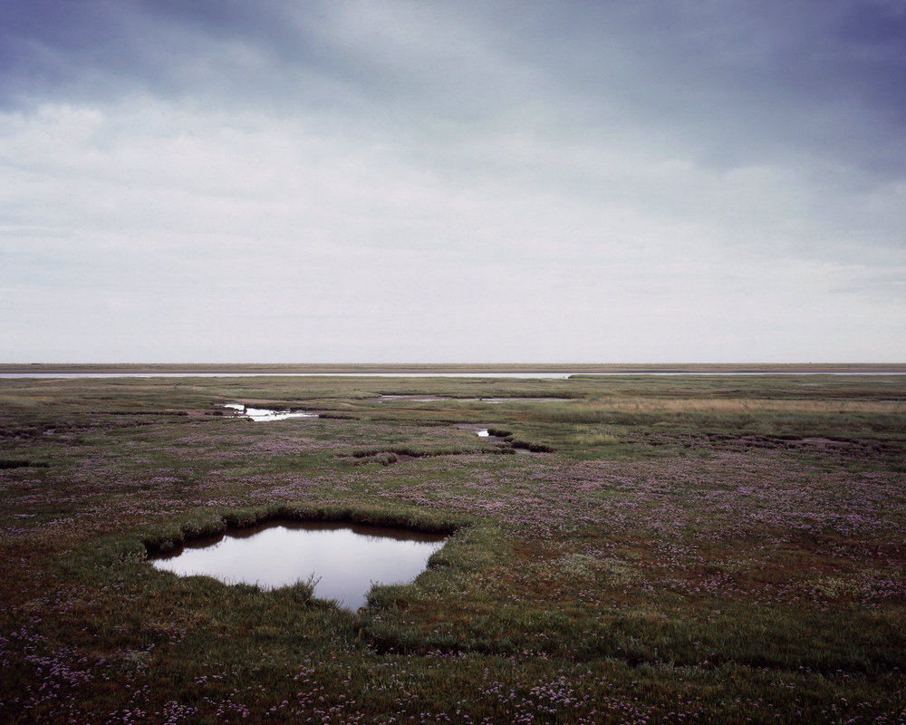 Coastal salt marsh series