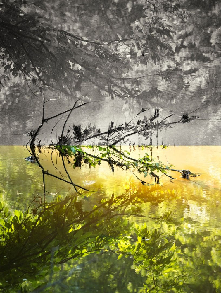 Dreaming in Color
