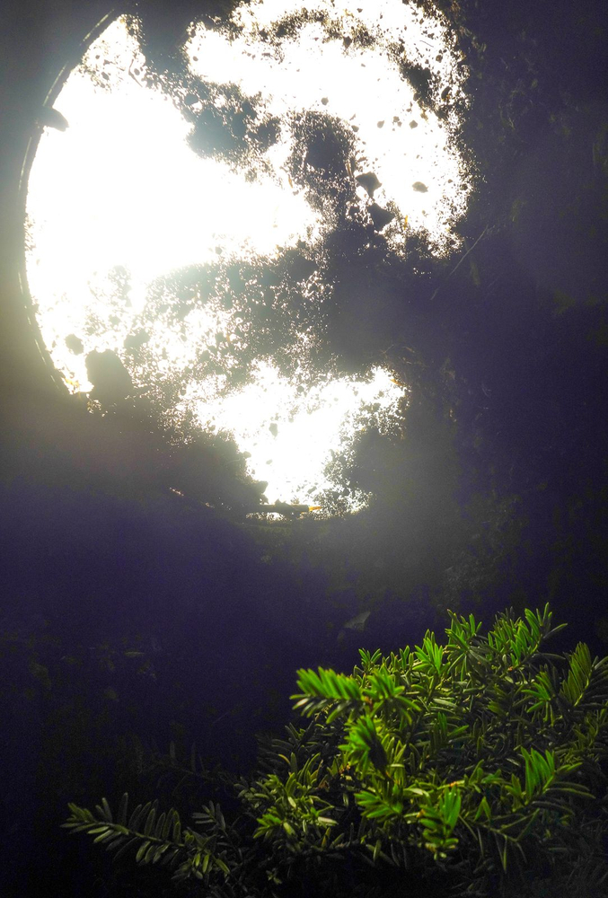 False Moons