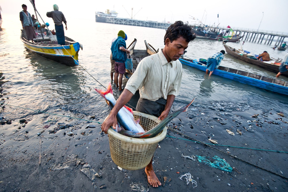 Sittwe Seafood