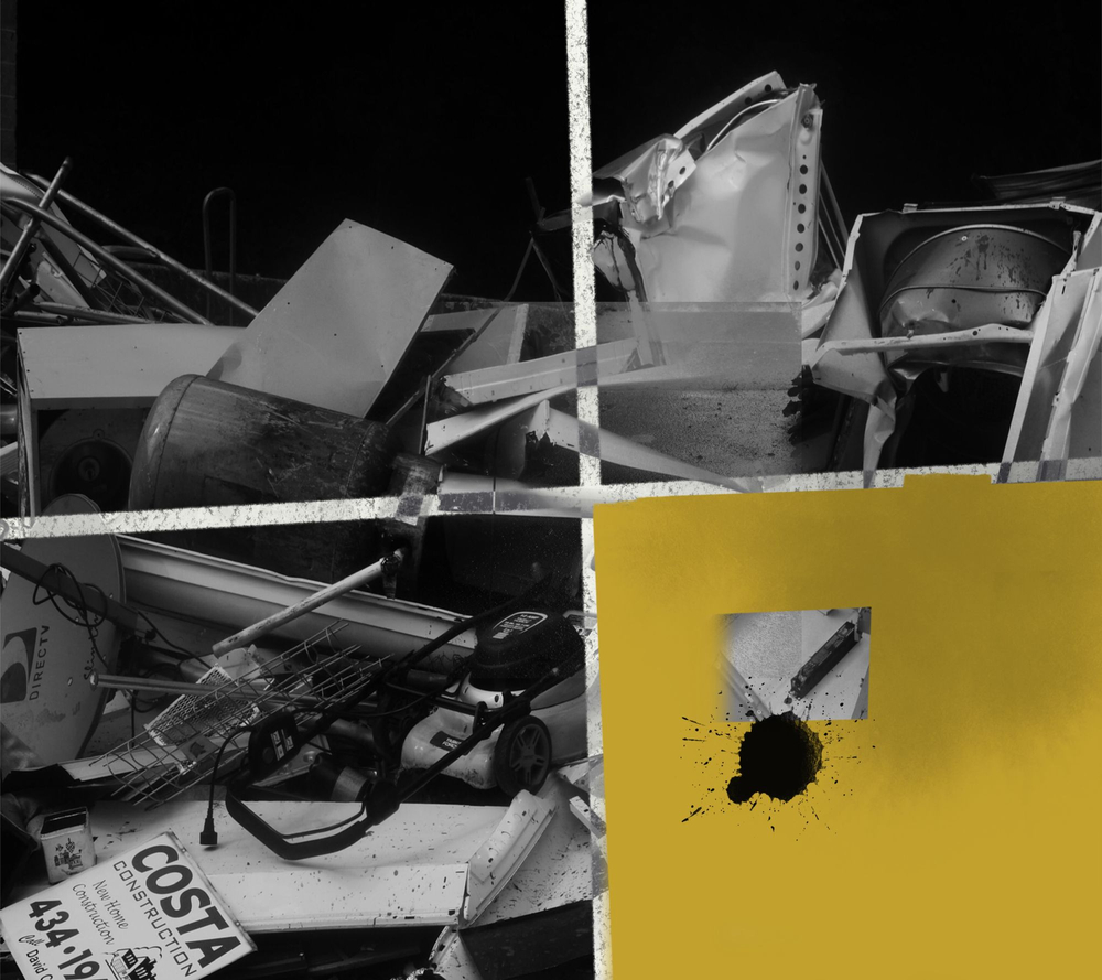 Project: The Evolution of Memory