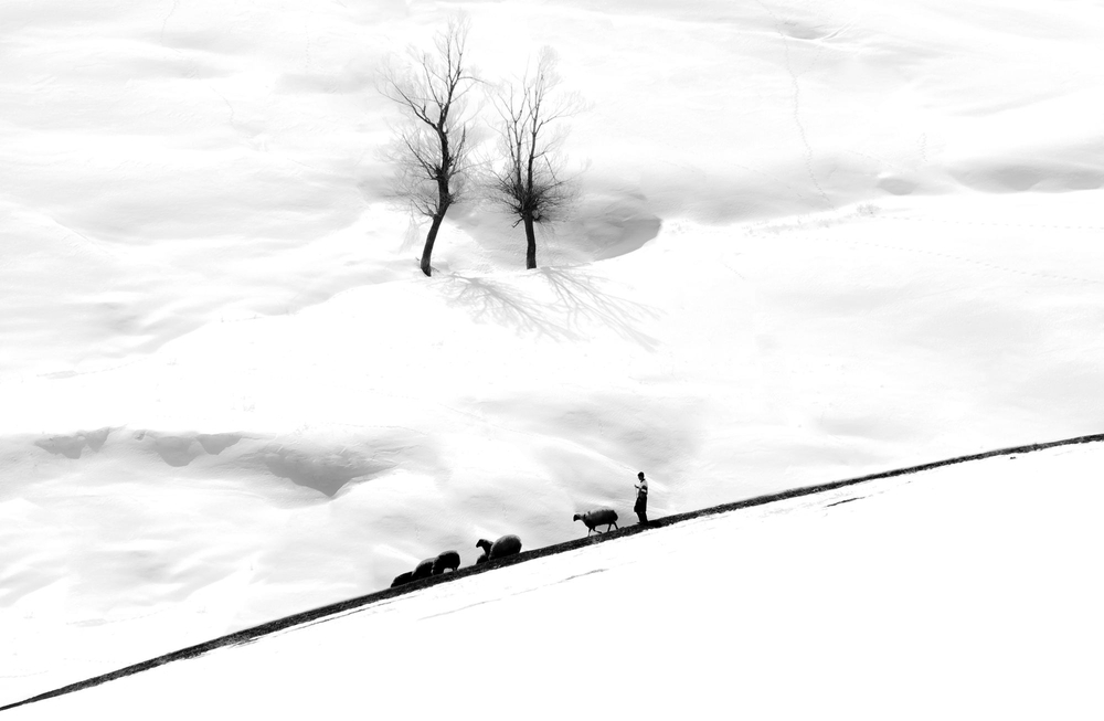 White life 