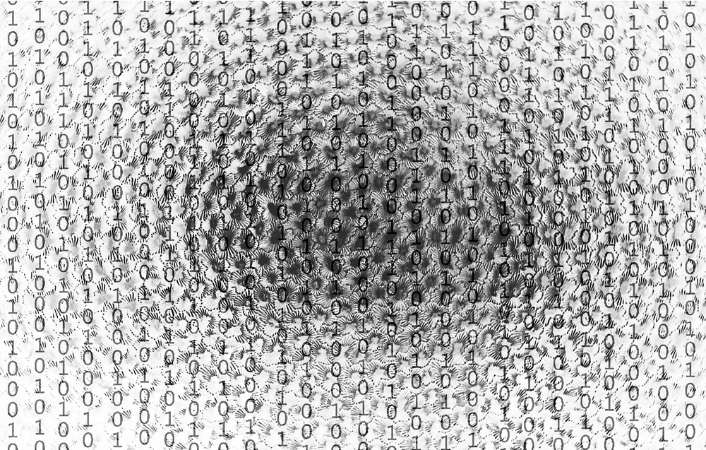 series - data