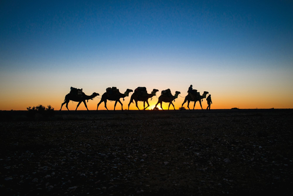Silhouettes