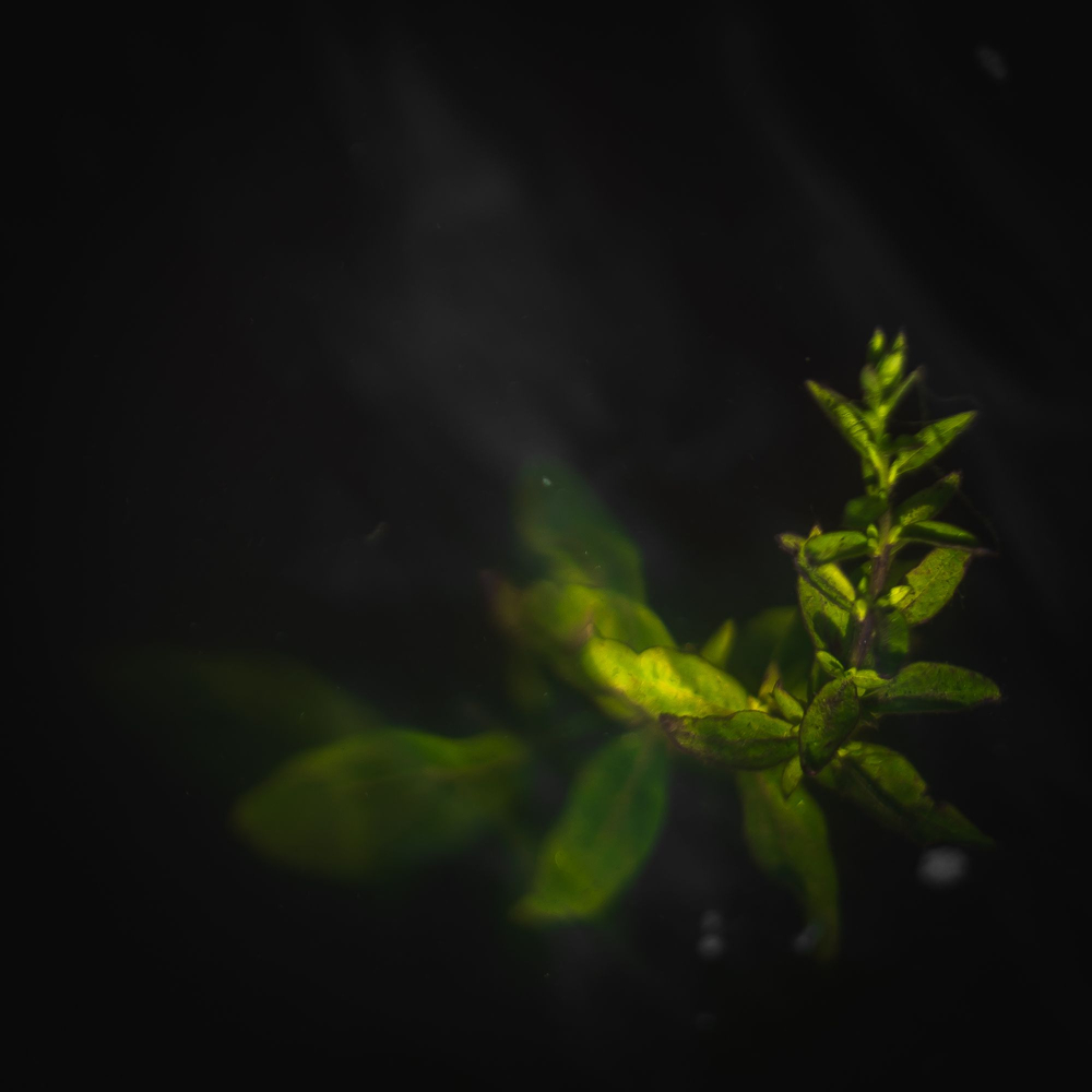 Beyond Interface
