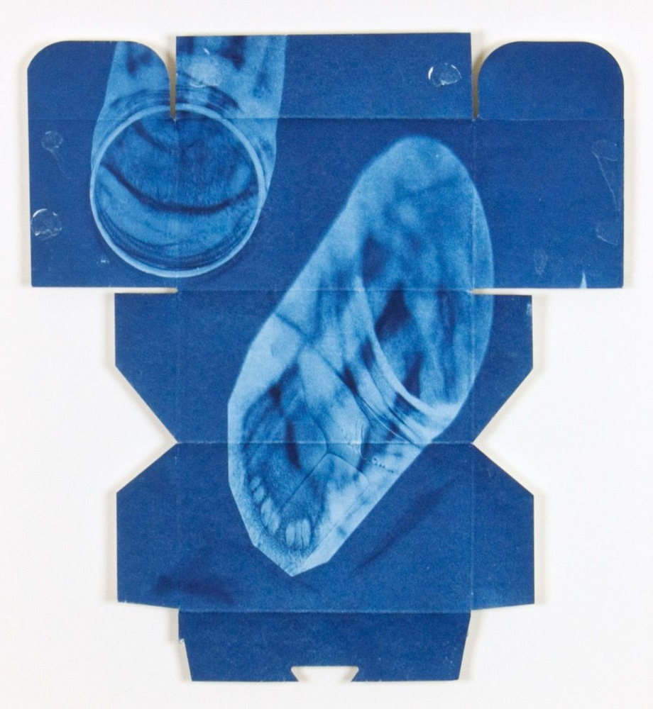 Recycled Cyanotypes