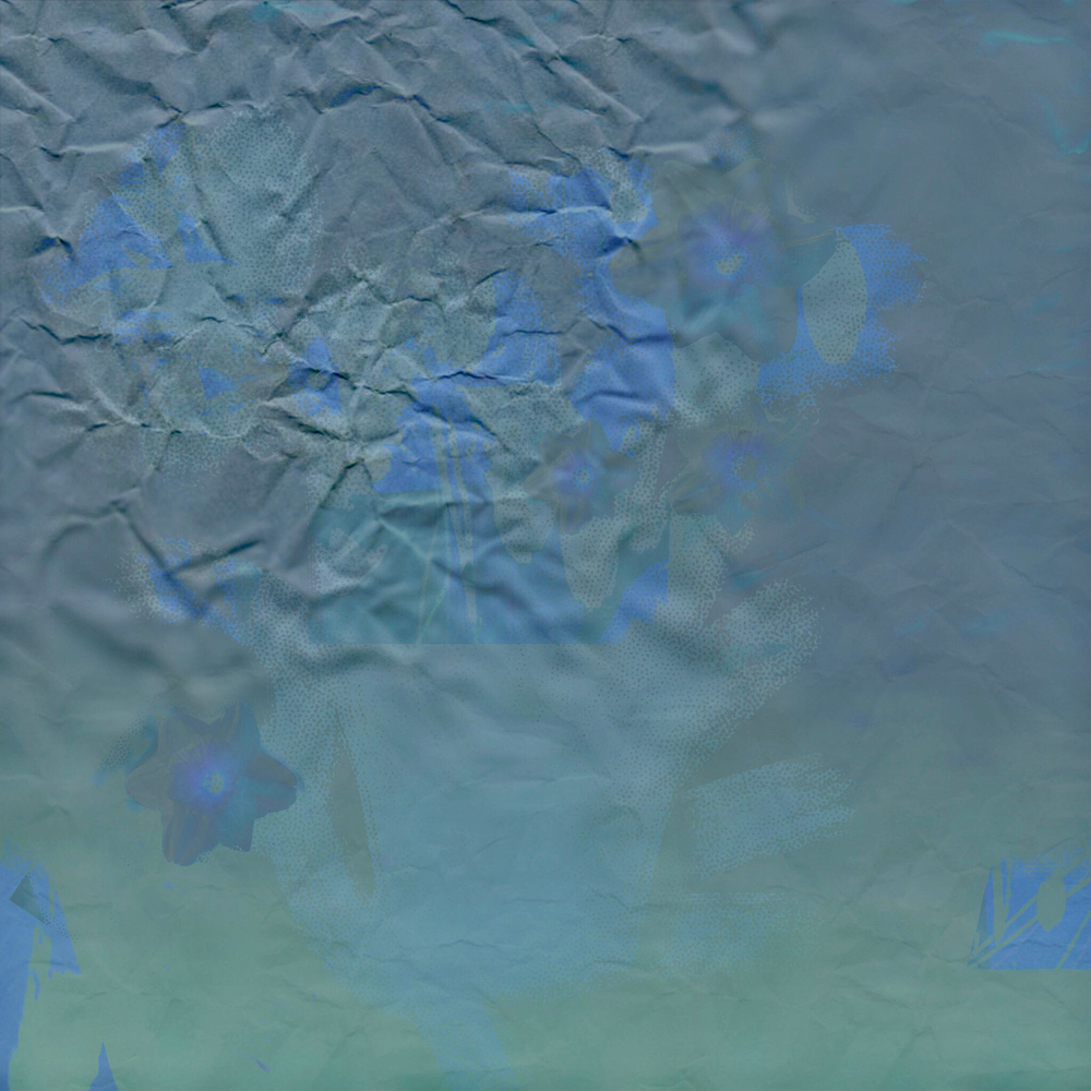 Pressed Flowers