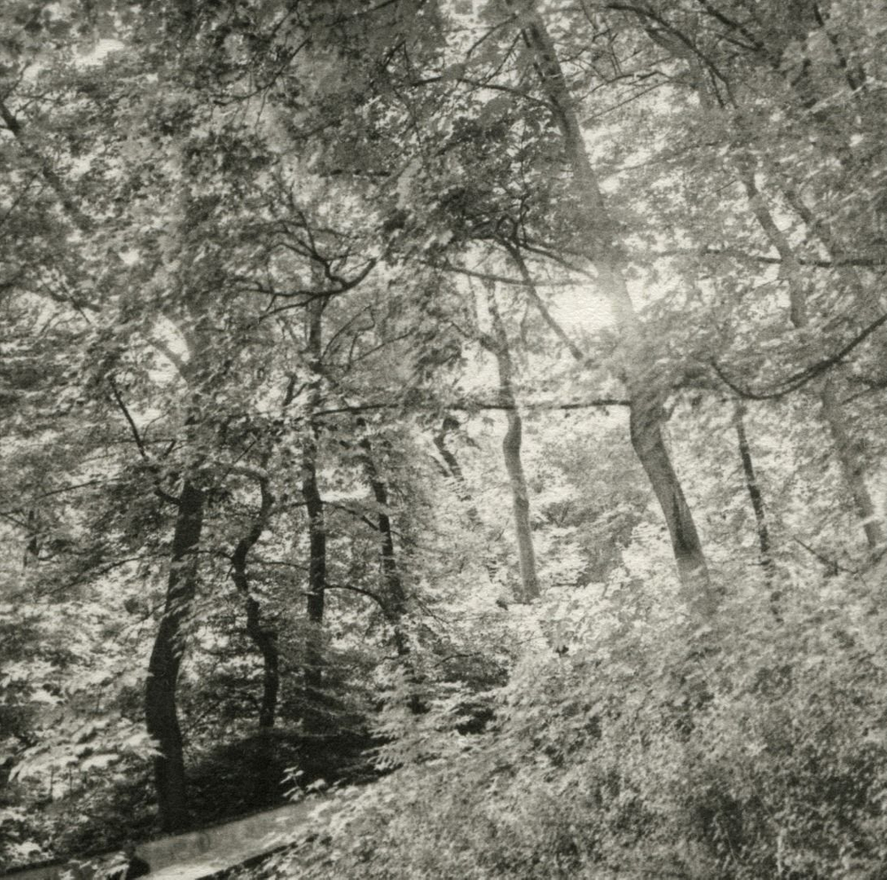 The Park