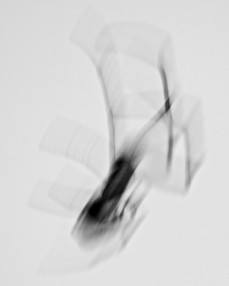 Spider step