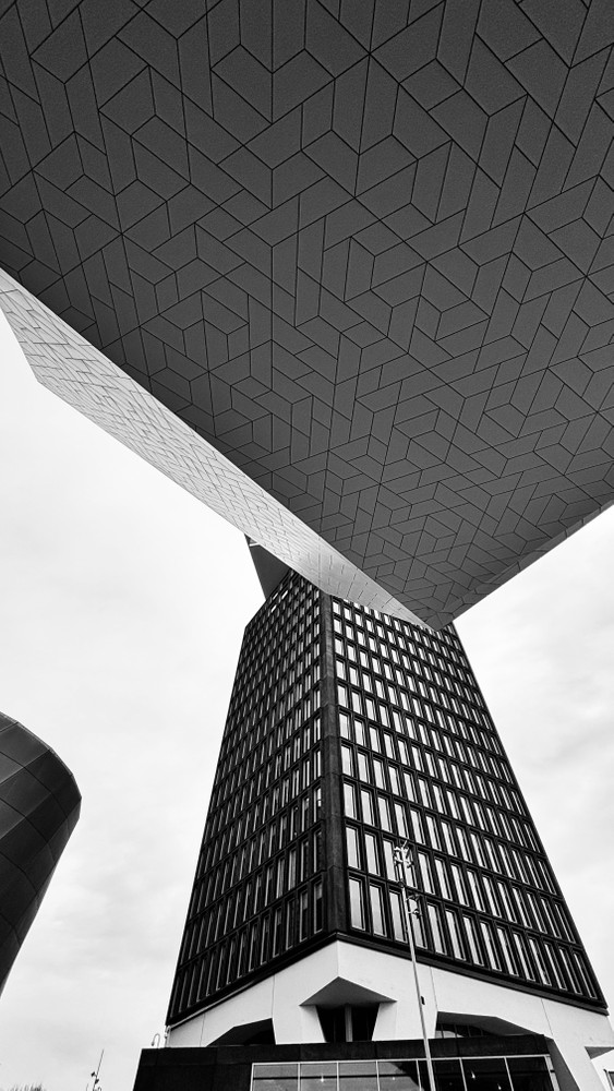 THE EYE