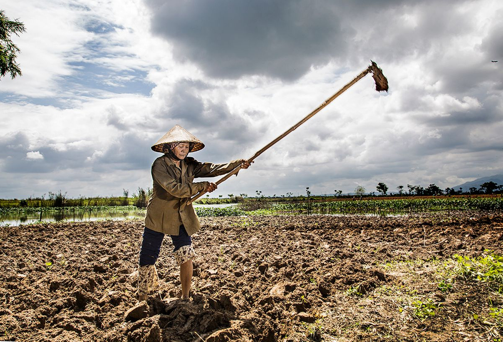 Vietnam. Country of workers.