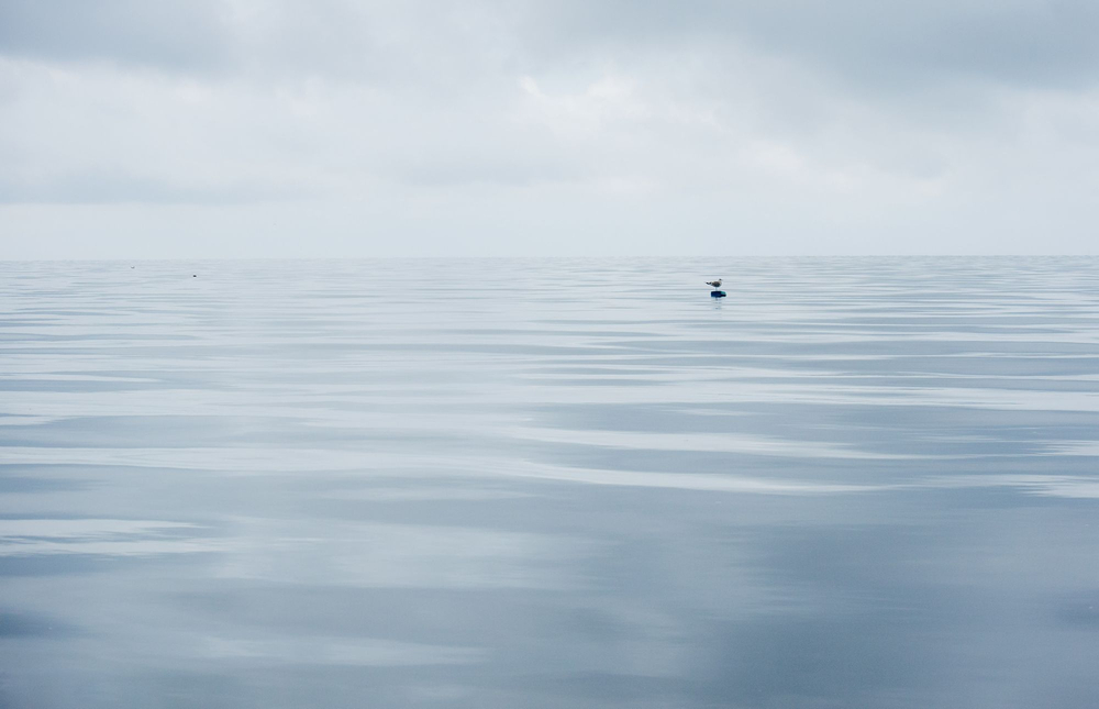 Seascape