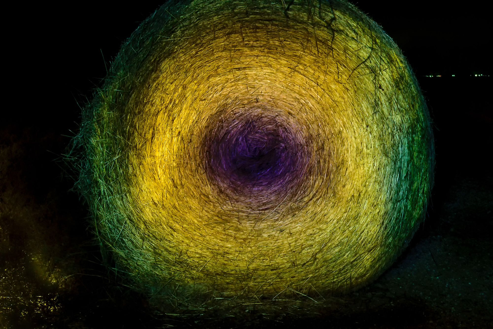 In My Mind's Eye: Pareidolia in Nature (Selections from Vibrant Night [Light Painting Landscapes])