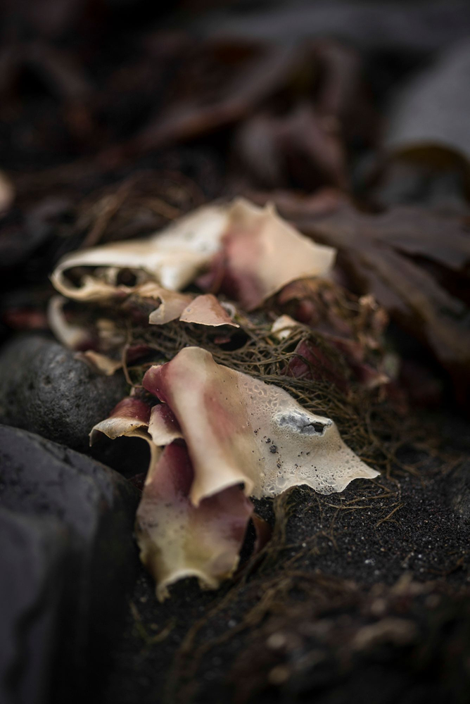 Iceland Macro Series