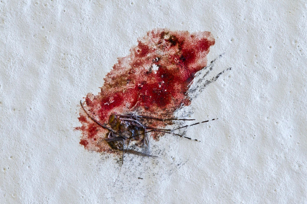 Blood ties: relationships between mosquitoes and humans