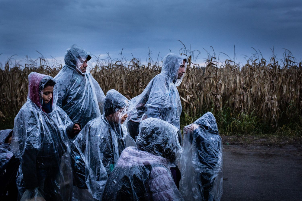 Refugee Odyssey to Europe