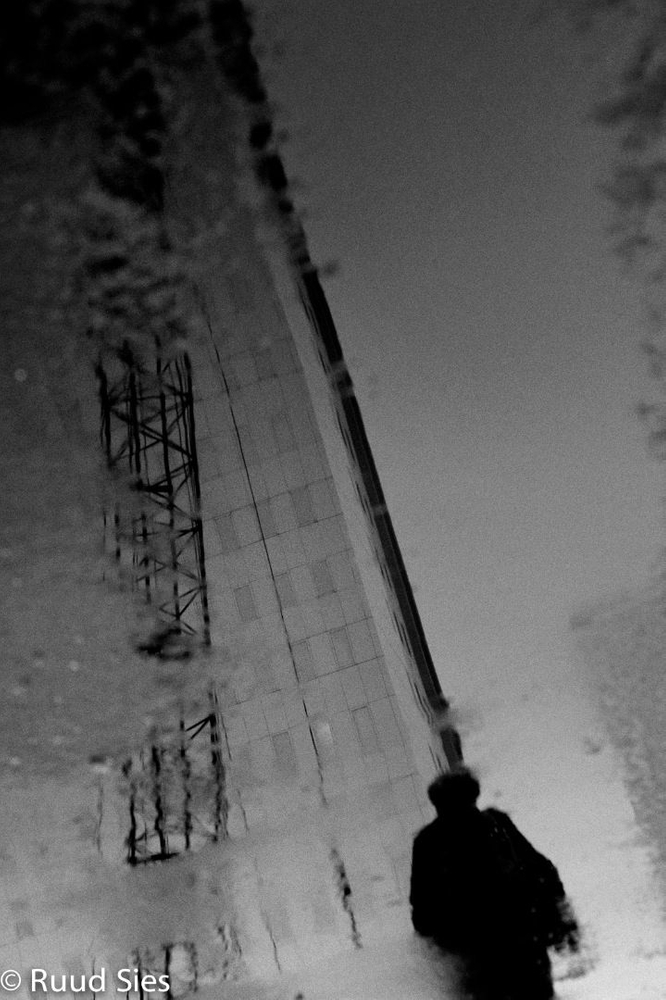 Building The Rotterdam