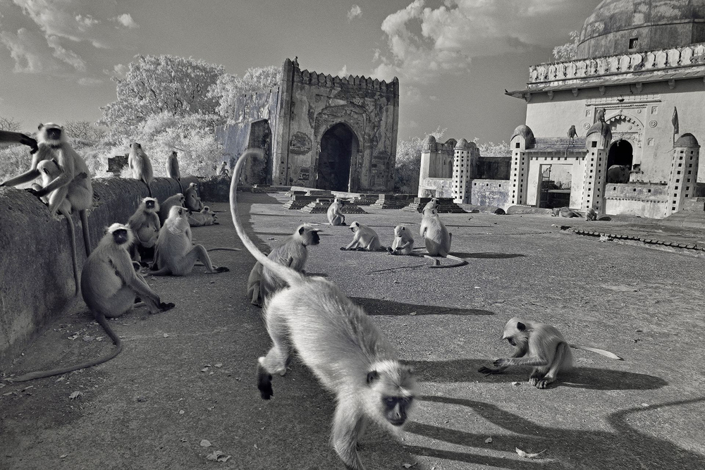 A Different India