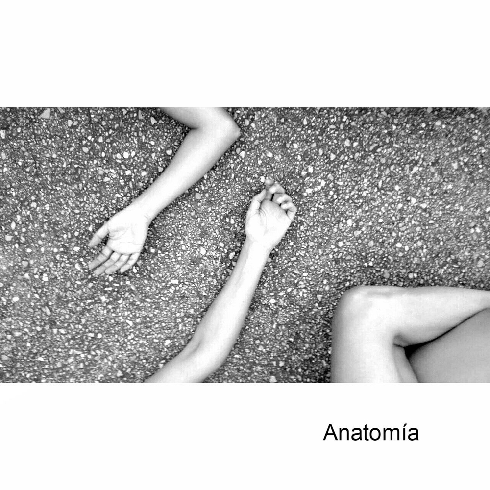 Anatomy