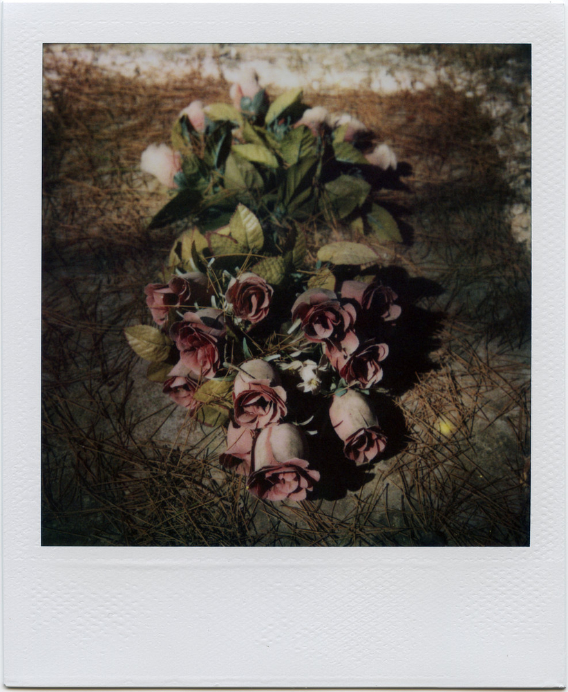 Do Polaroids dream of instant cameras?