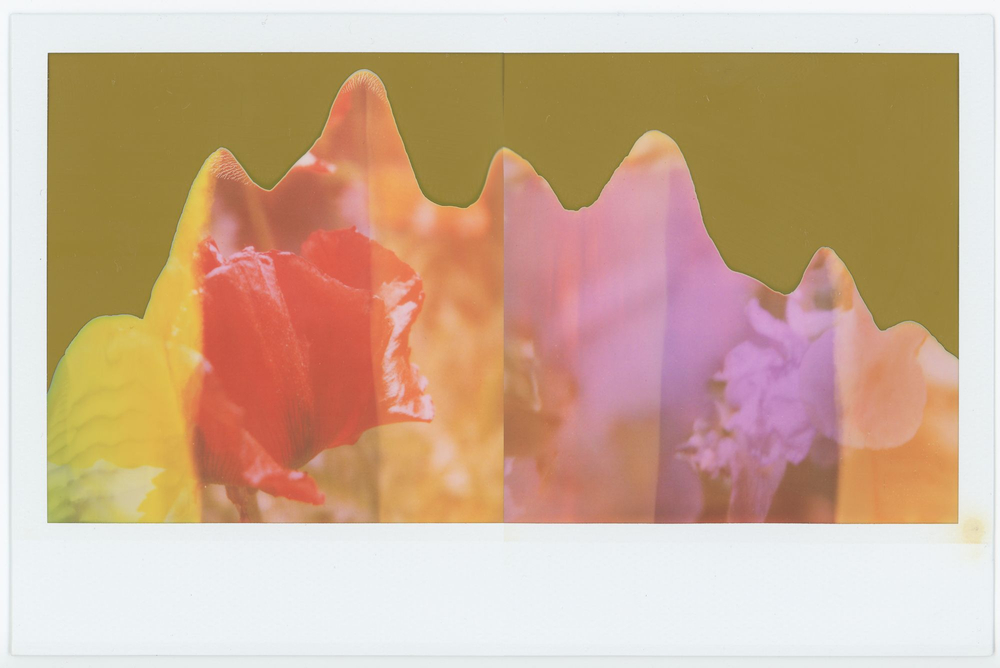 Flowers for Anya