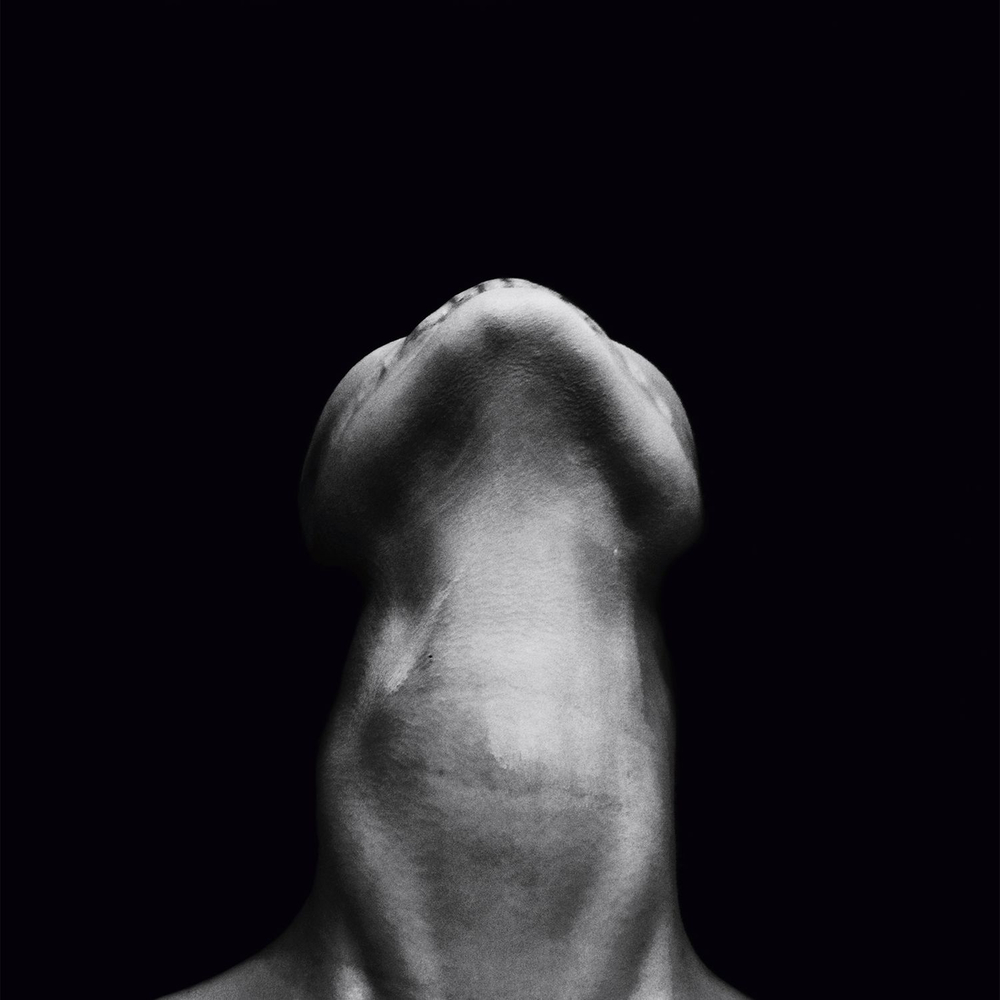 Corpus Humani